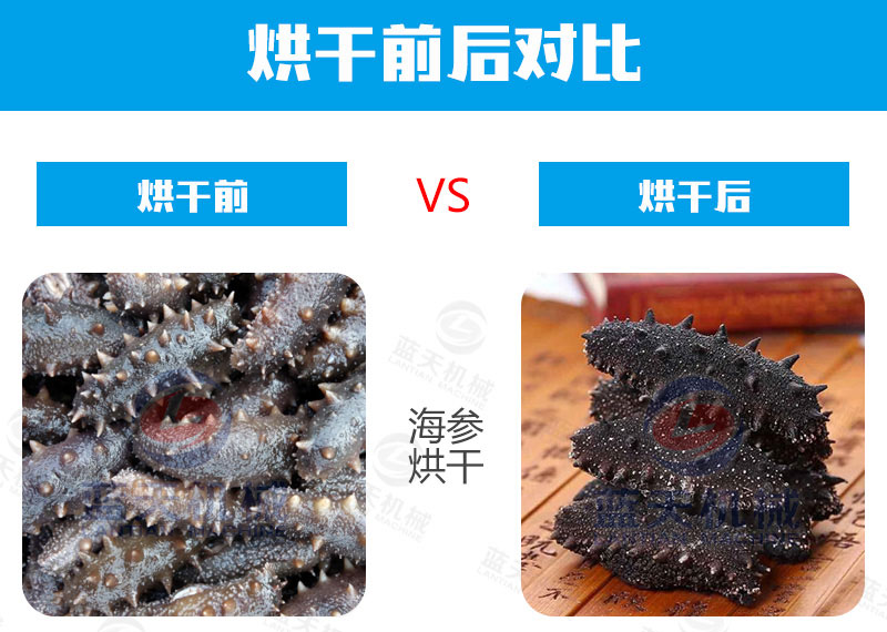 海鮮烘干機烘干前后對比