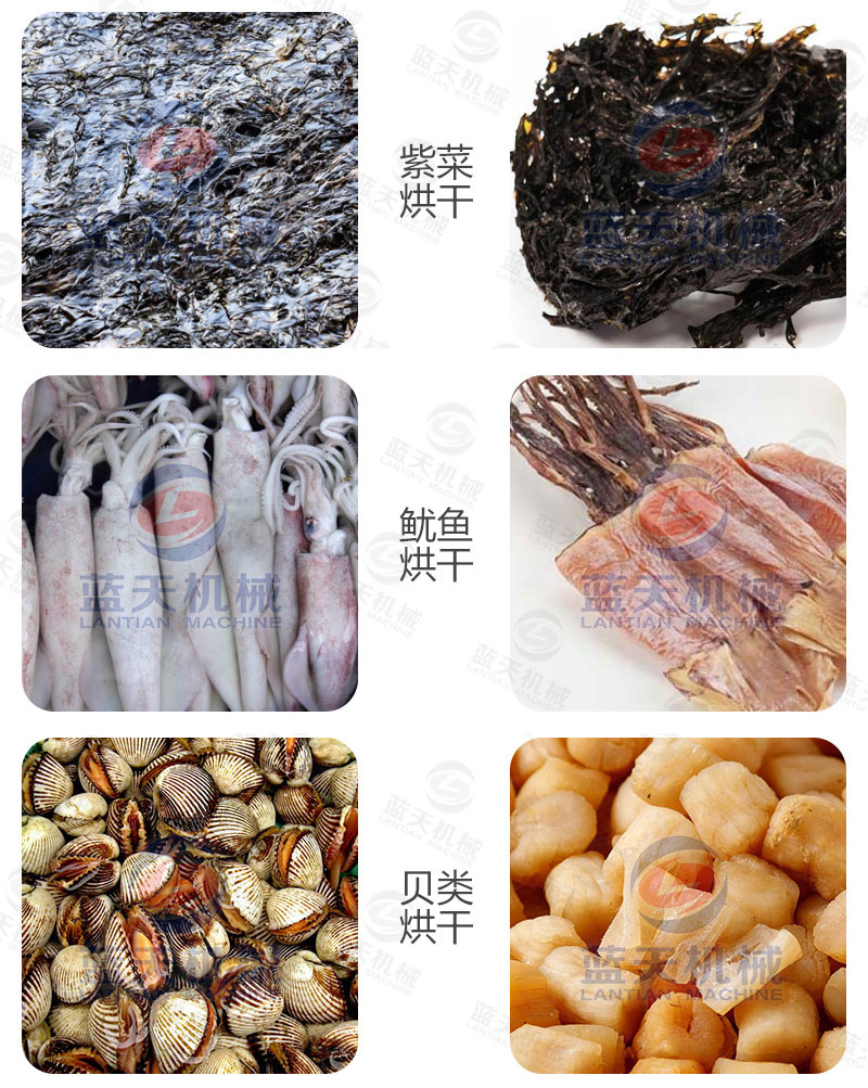海鮮烘干機烘干前后對比