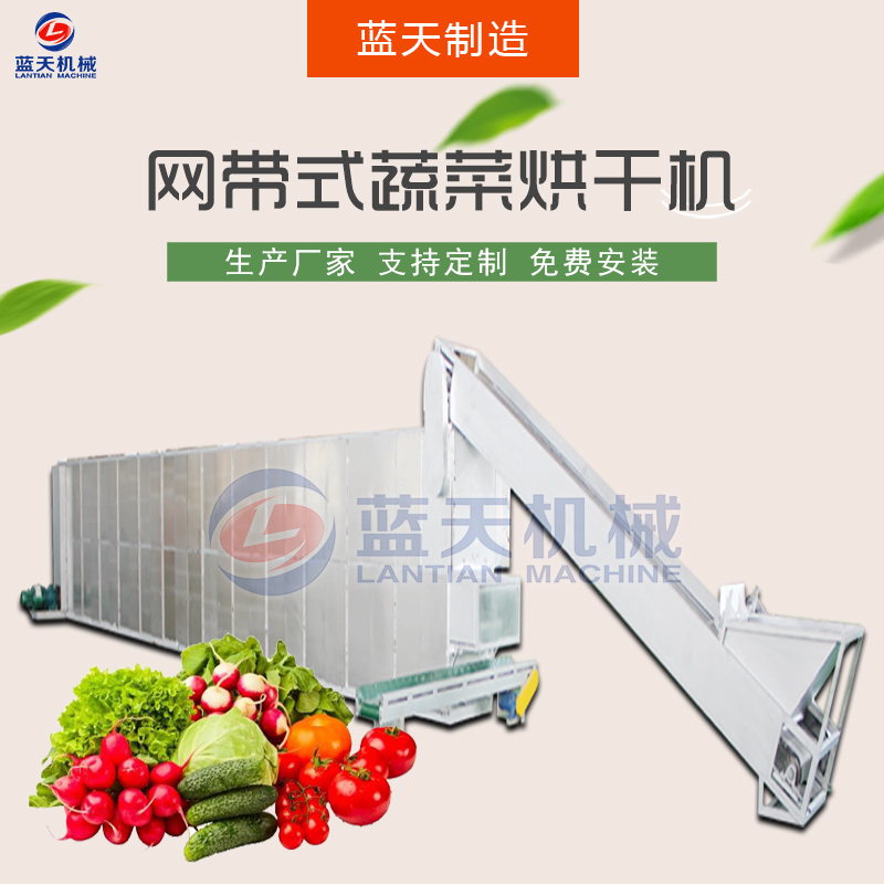 蔬菜網(wǎng)帶烘干機