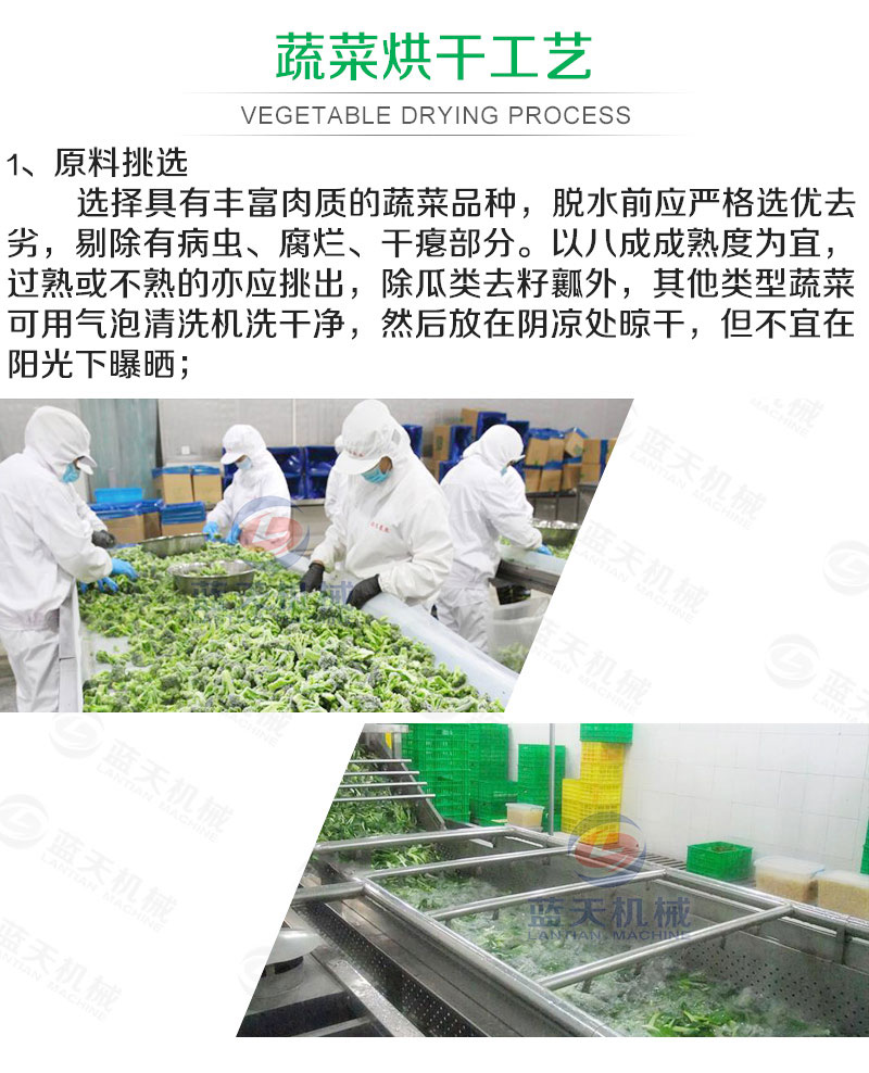 蔬菜網(wǎng)帶烘干機烘干工藝