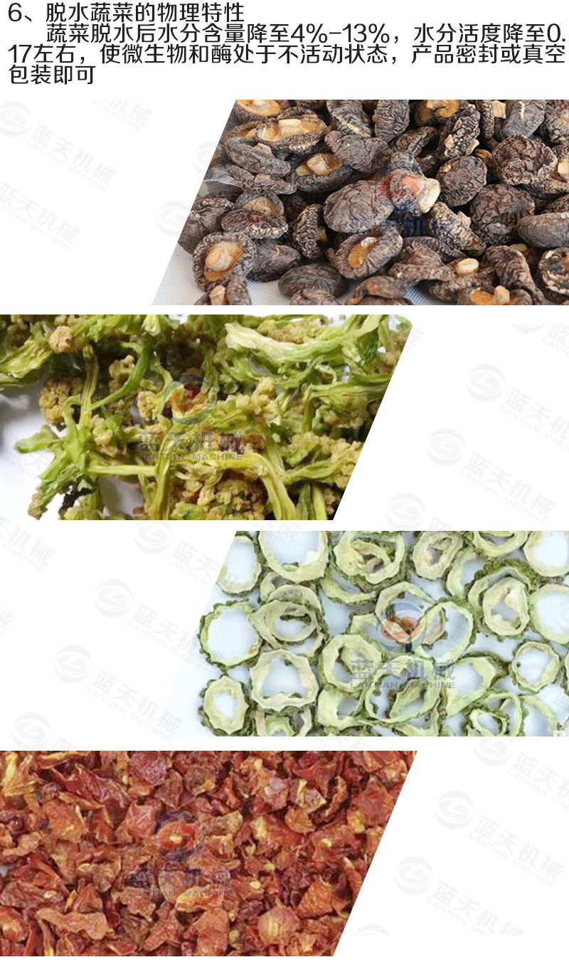 蔬菜網(wǎng)帶烘干機烘干工藝