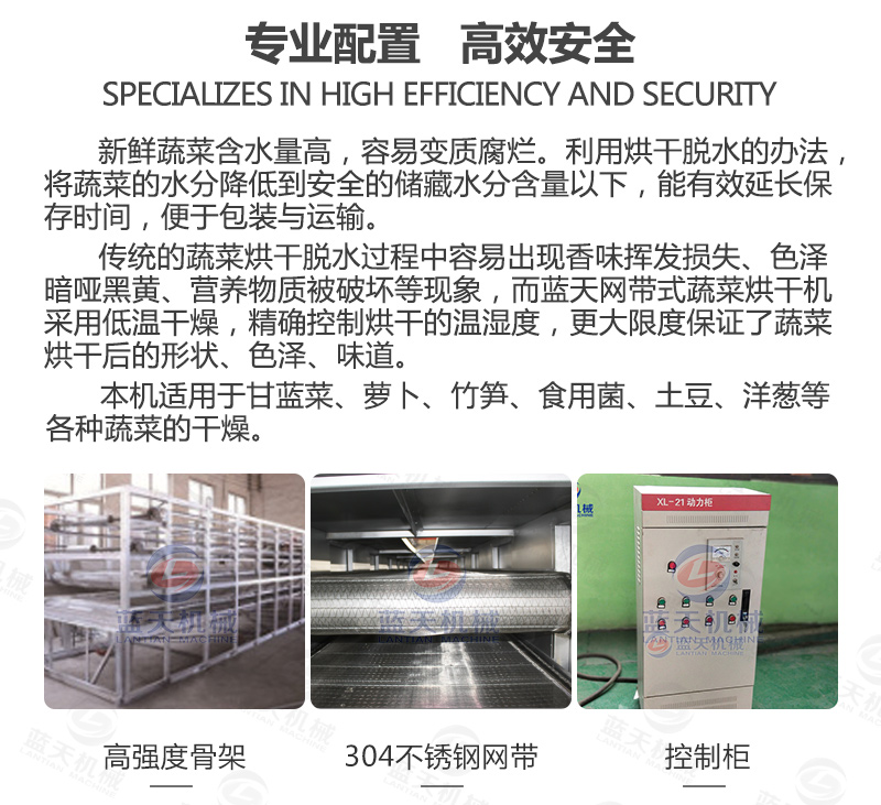 蔬菜網(wǎng)帶烘干機專業(yè)配置