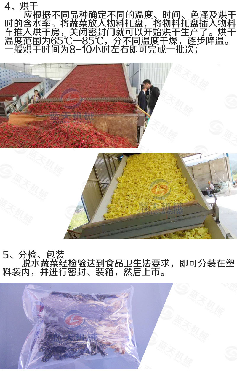 蔬菜網(wǎng)帶烘干機烘干工藝