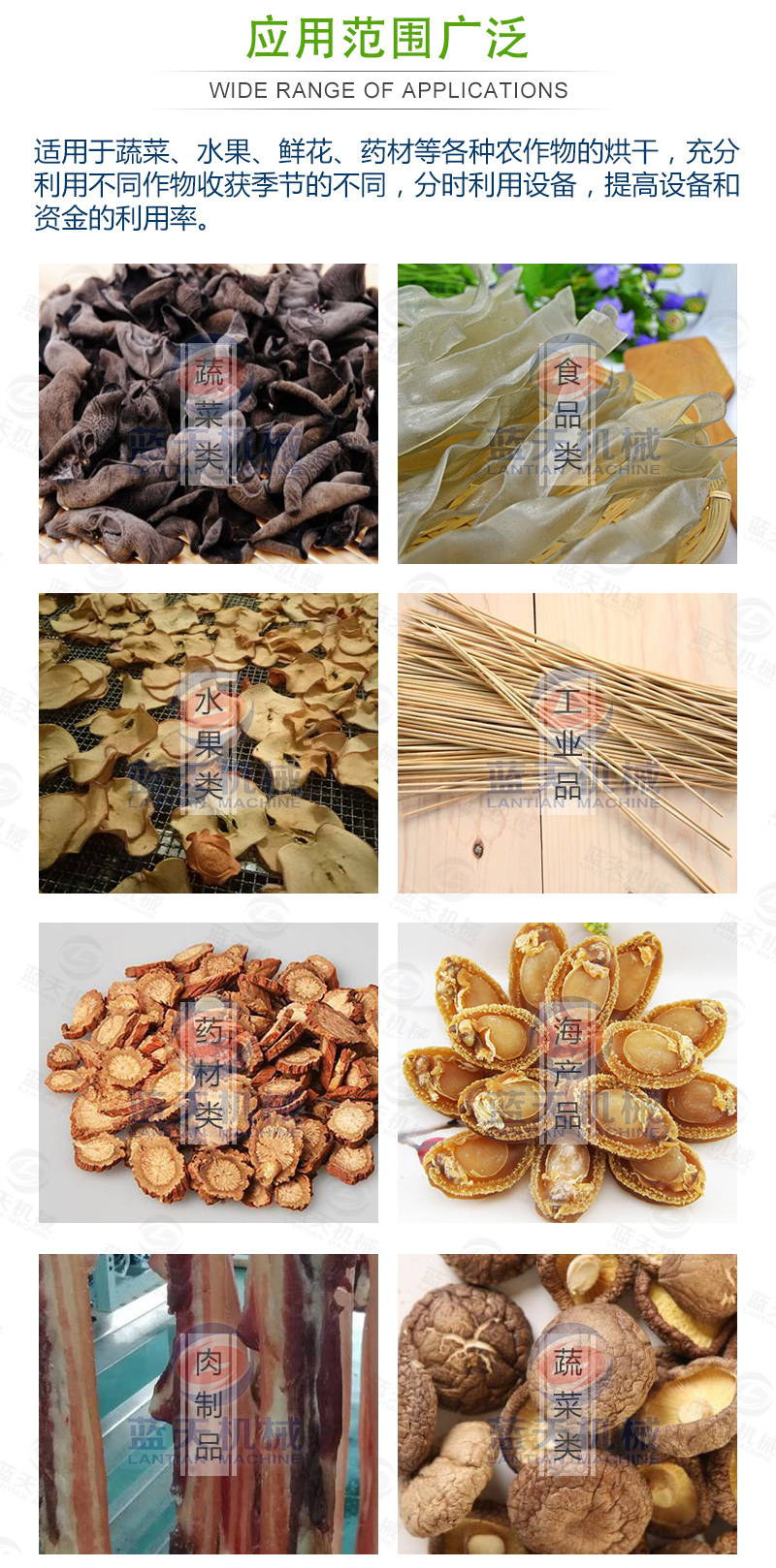 蔬菜網(wǎng)帶烘干機應用范圍