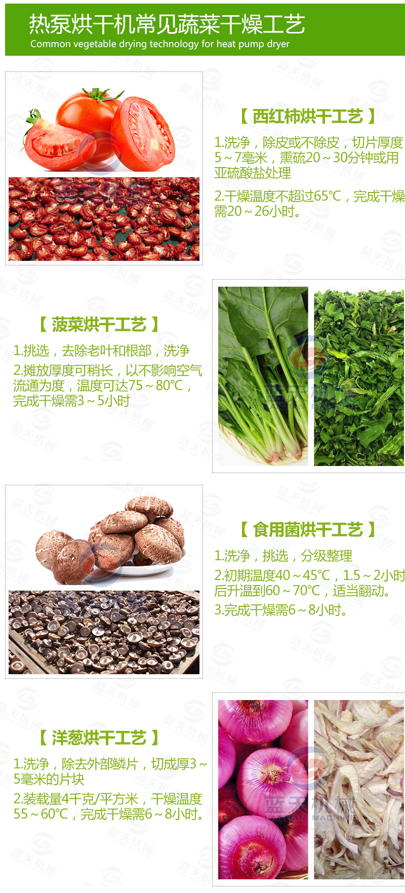 蔬菜網(wǎng)帶烘干機烘干工藝