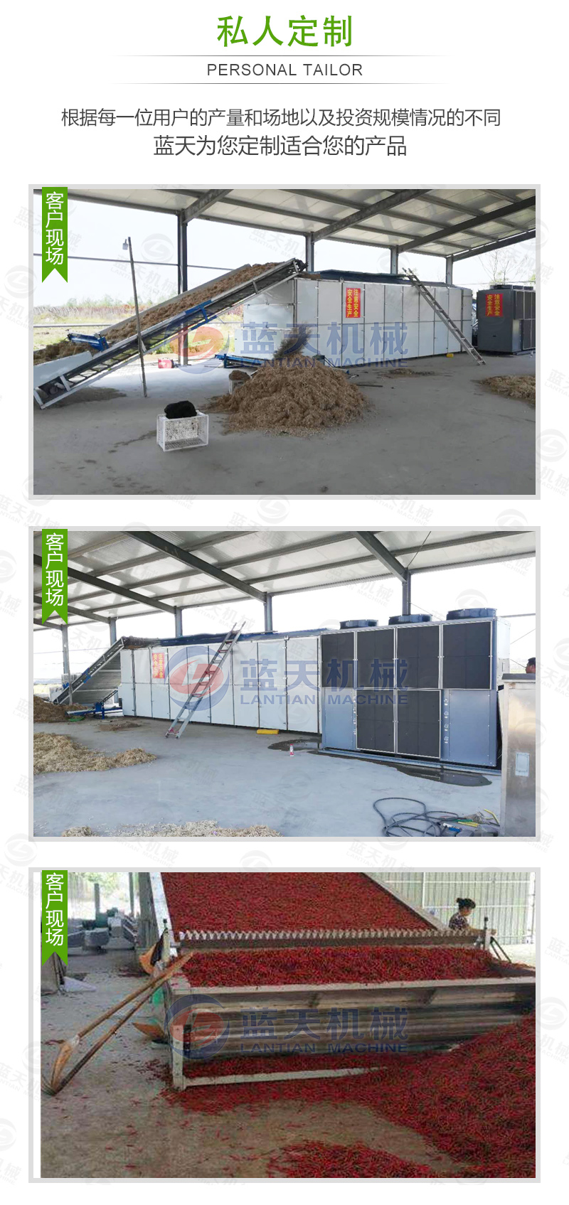 花椒網(wǎng)帶烘干機(jī)私人定制