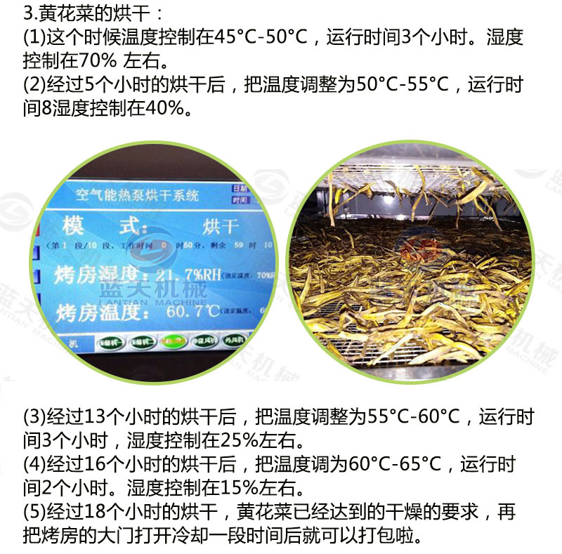 黃花菜網(wǎng)帶烘干機烘干工藝 