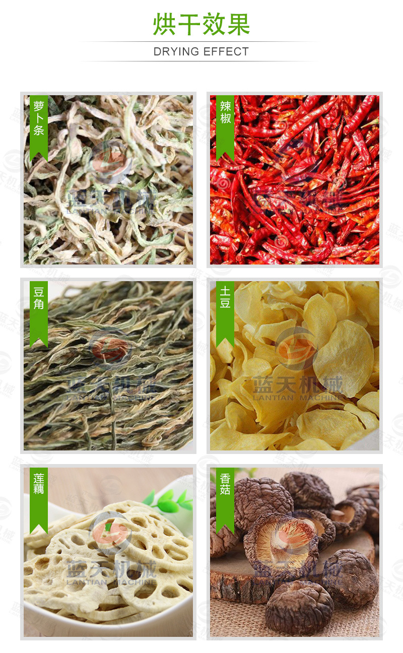 蘿卜條網(wǎng)帶烘干機(jī)烘干效果