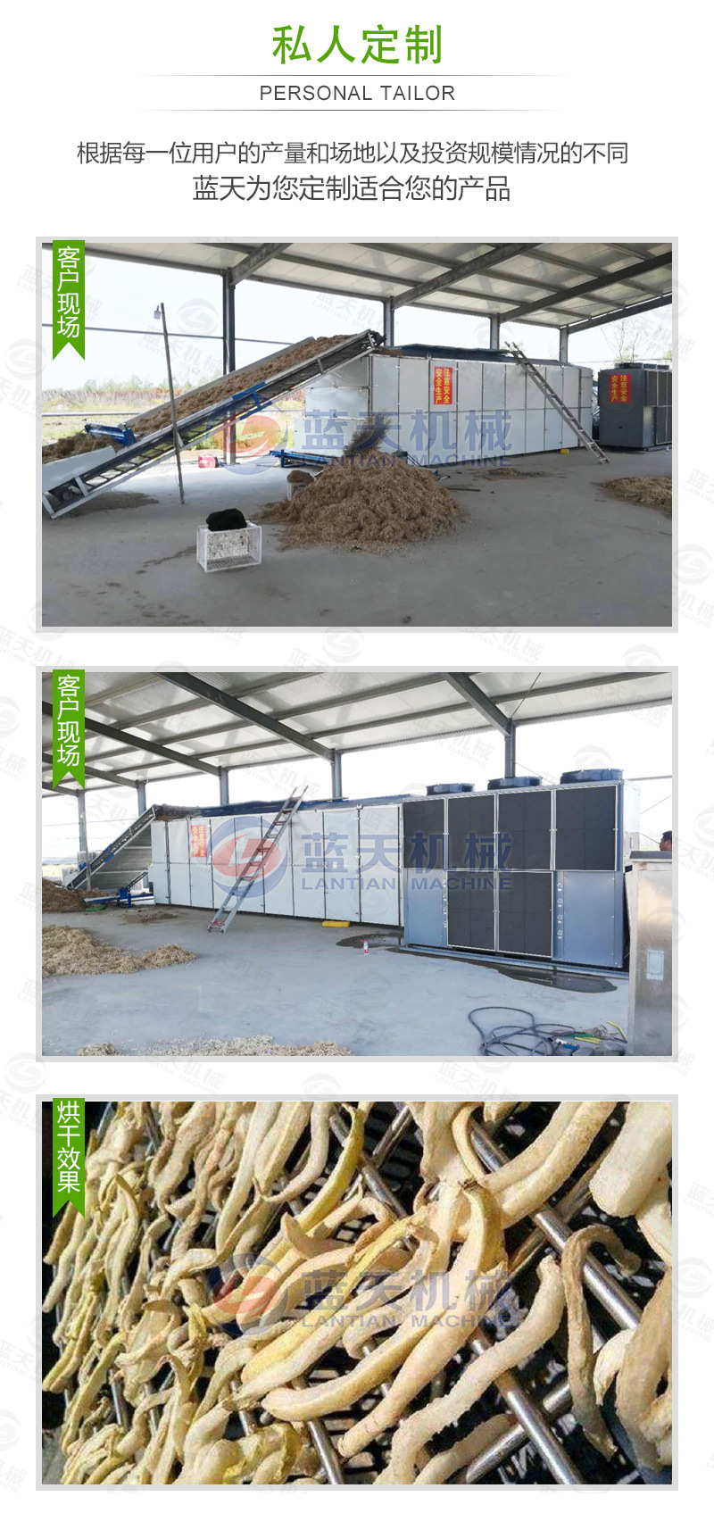 蘿卜條網(wǎng)帶烘干機(jī)私人定制