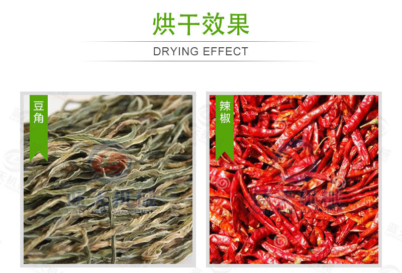 豆角網帶烘干機烘干效果