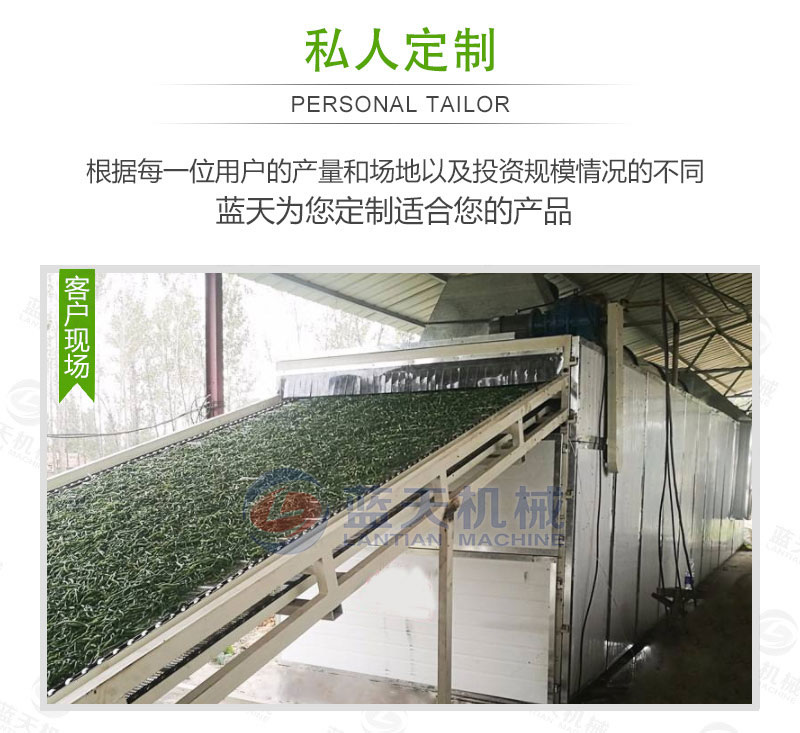 豆角網帶烘干機私人定制