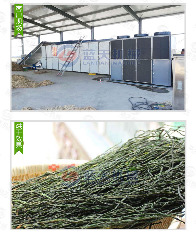 豆角網帶烘干機私人定制