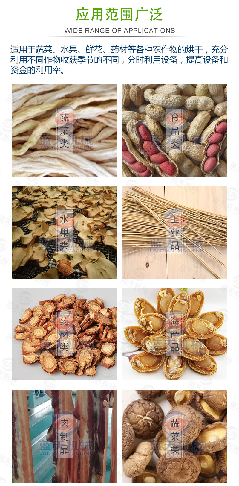 豆角網帶烘干機應用范圍