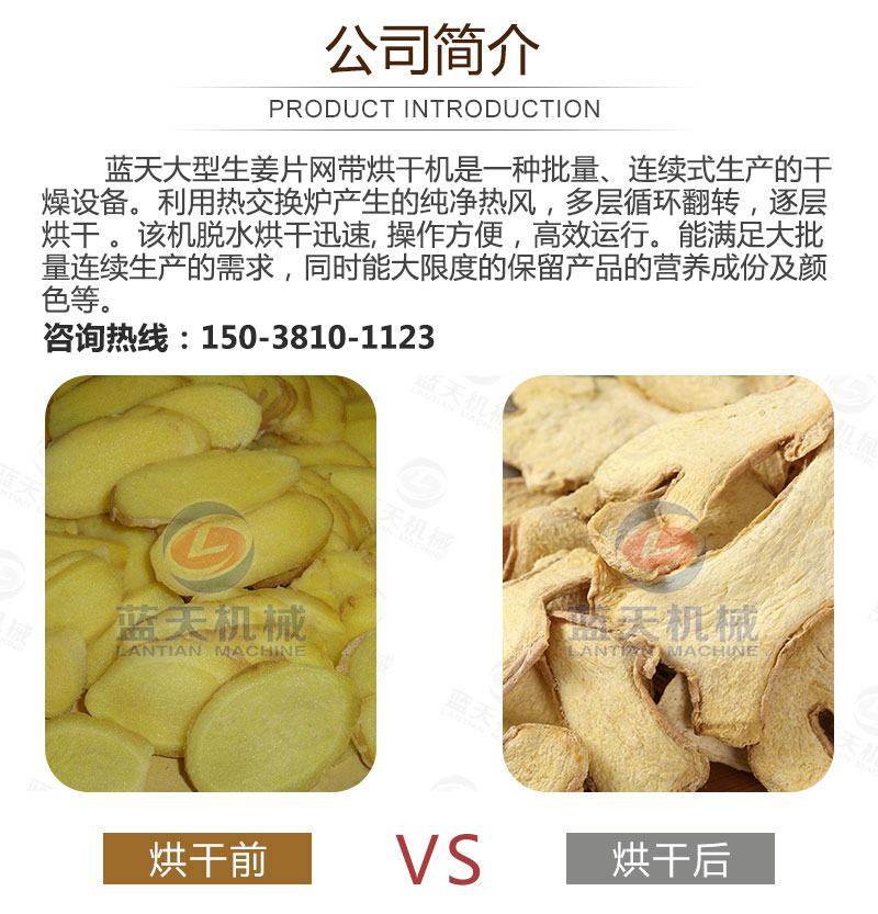 生姜片網(wǎng)帶烘干機產(chǎn)品簡介