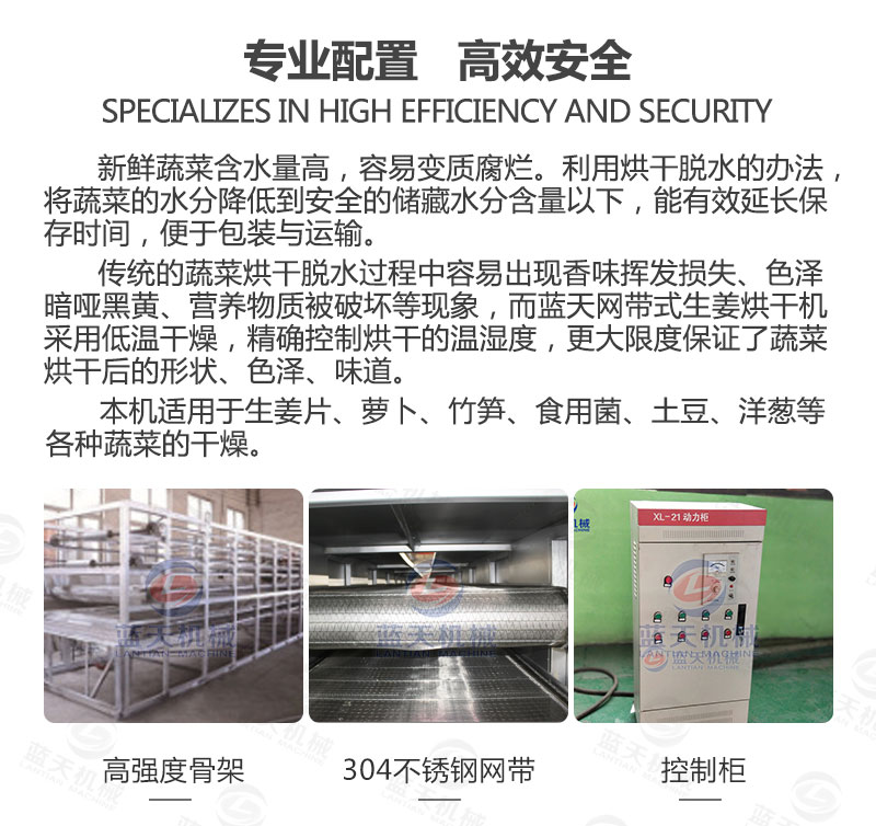 生姜片網(wǎng)帶烘干機專業(yè)配置