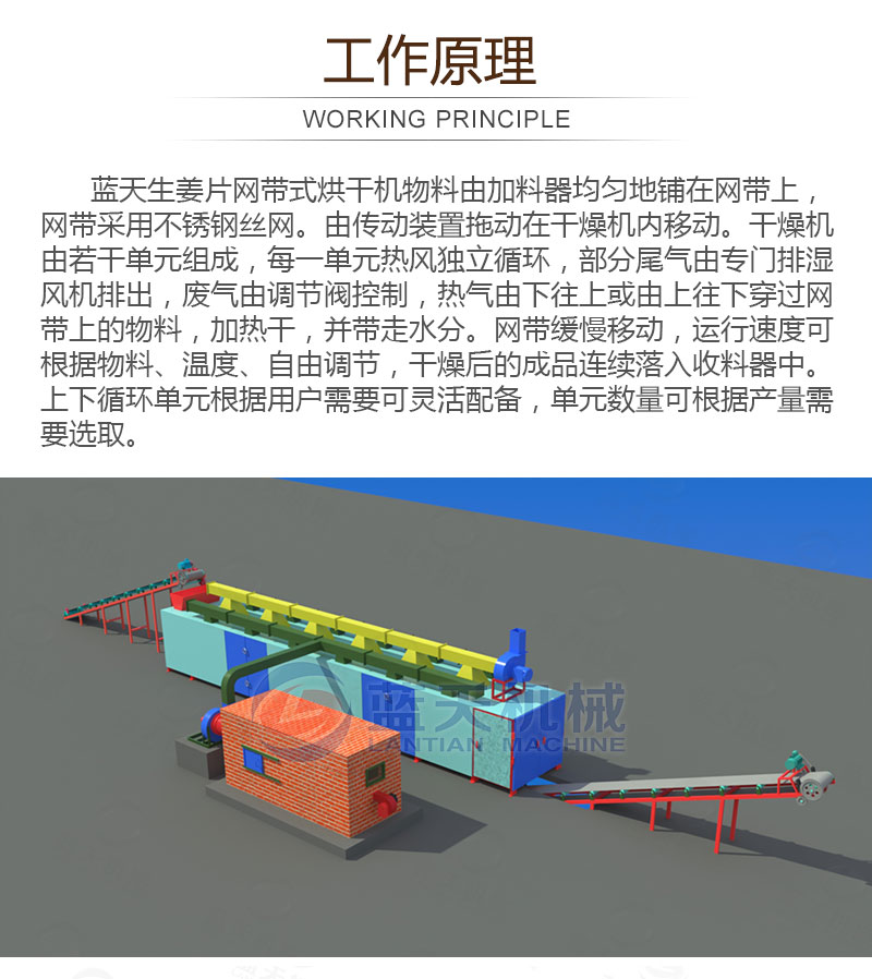 生姜片網(wǎng)帶烘干機工作原理