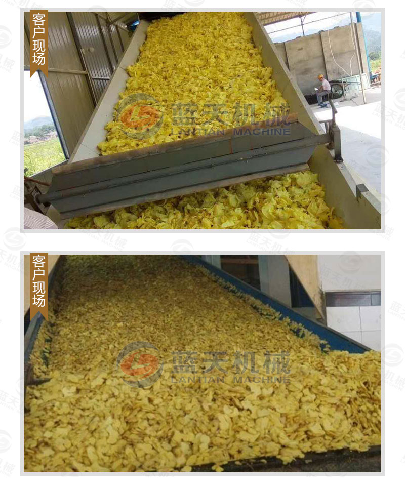 生姜片網(wǎng)帶烘干機用戶現(xiàn)場