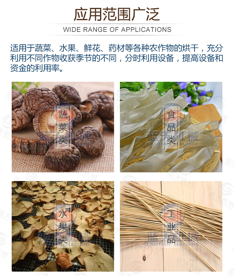 生姜片網(wǎng)帶烘干機應(yīng)用范圍
