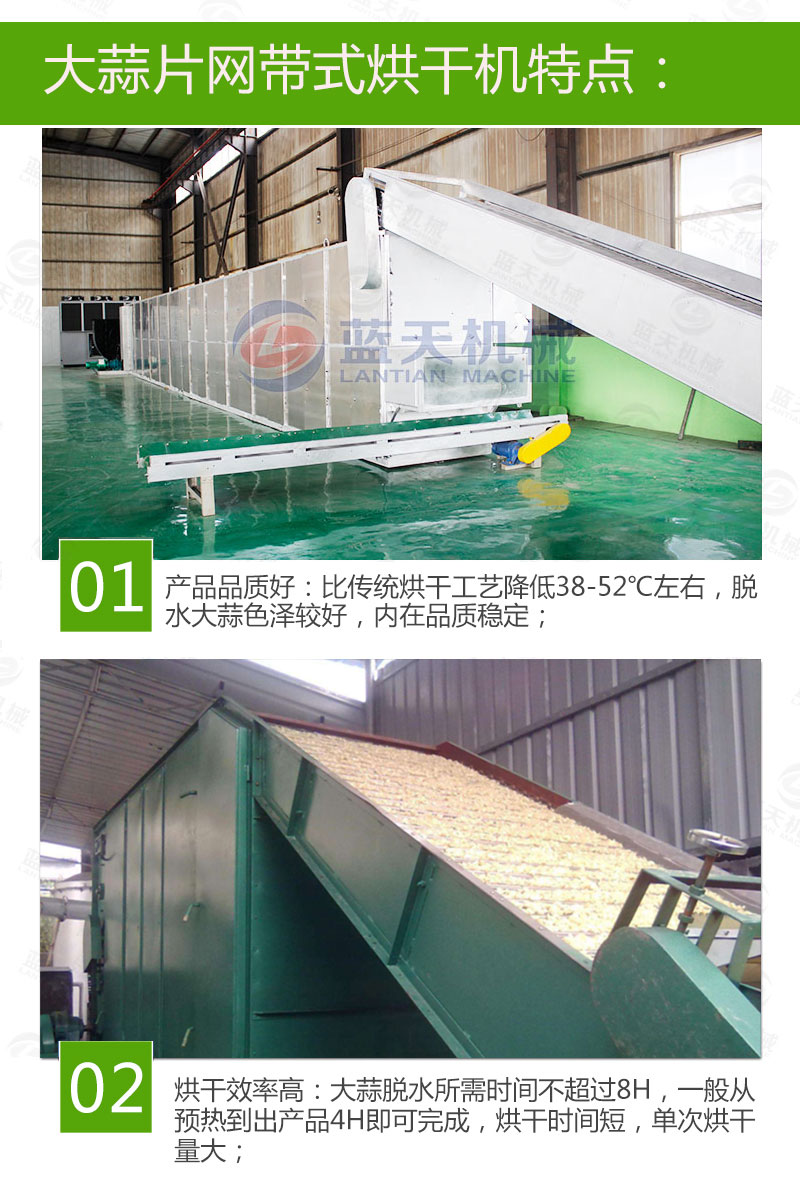  大蒜片網(wǎng)帶烘干機特點