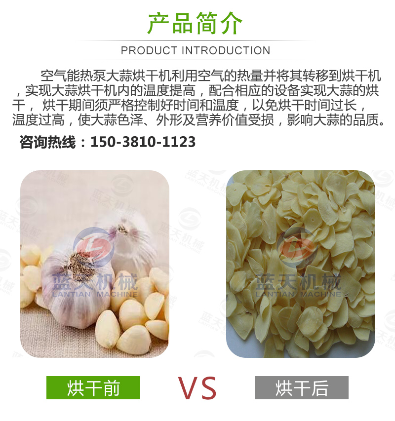  大蒜片網(wǎng)帶烘干機產品簡介