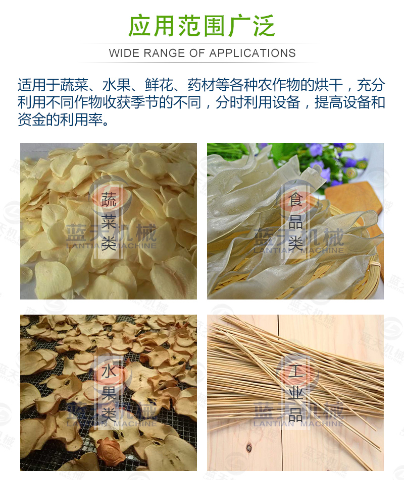  大蒜片網(wǎng)帶烘干機應用范圍