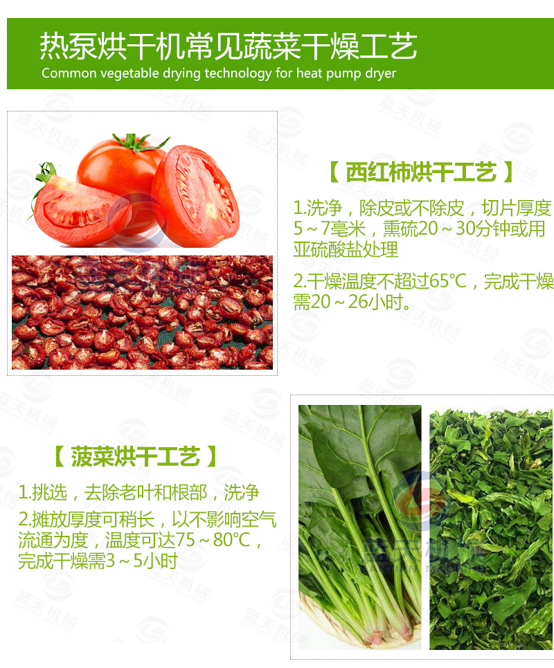  大蒜片網(wǎng)帶烘干機常見蔬菜烘干工藝