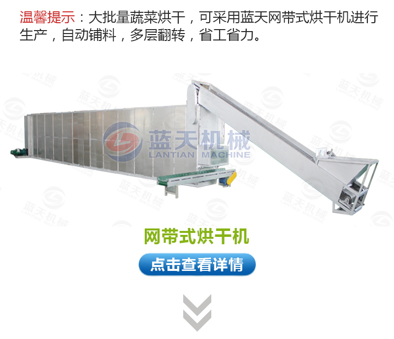  大蒜片網(wǎng)帶烘干機