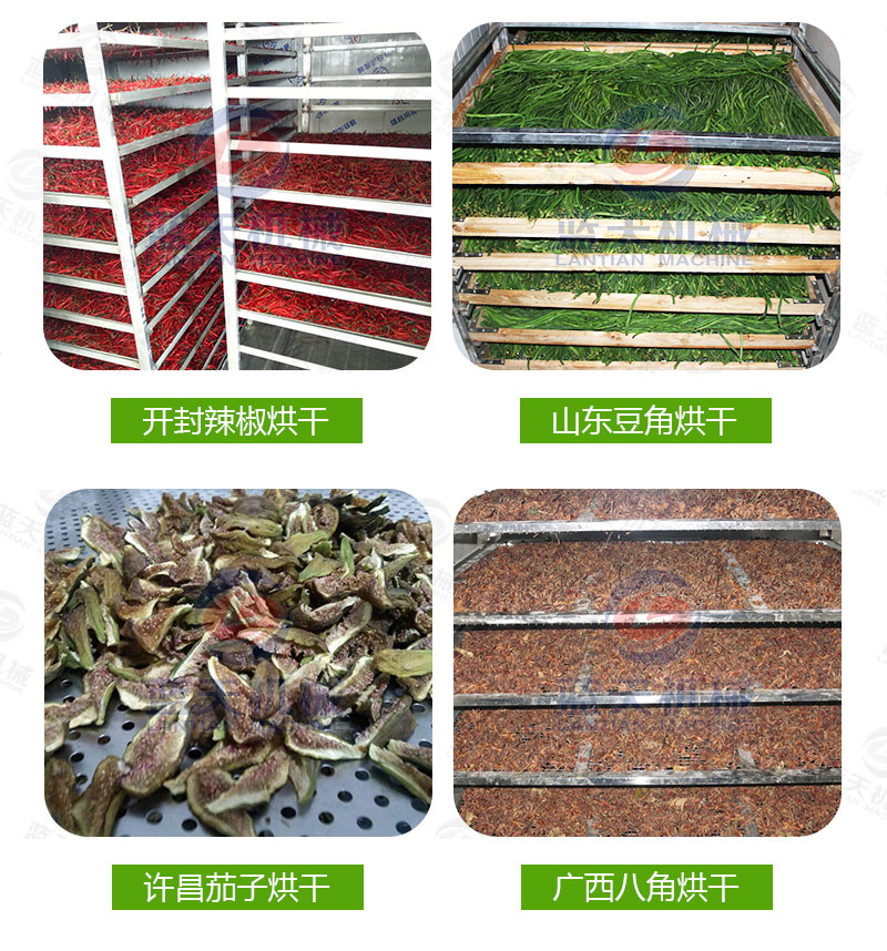  大蒜片網(wǎng)帶烘干機廠家實拍