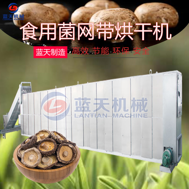 食用菌網(wǎng)帶烘干機