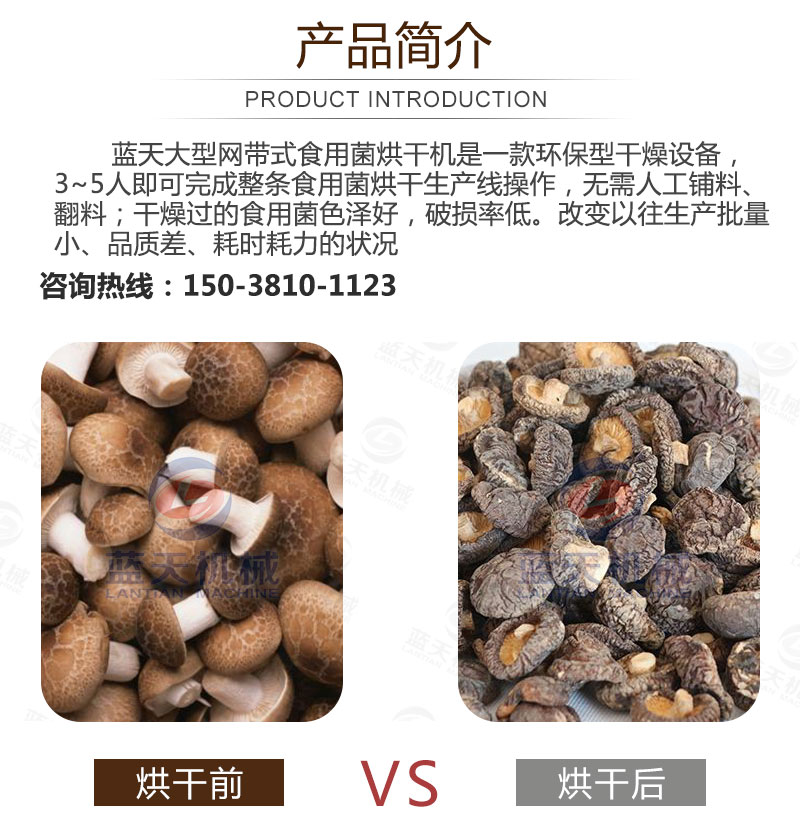 食用菌網(wǎng)帶烘干機產(chǎn)品簡介