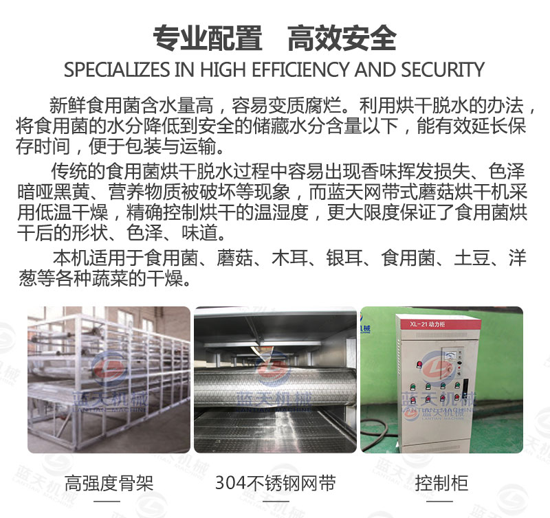 食用菌網(wǎng)帶烘干機專業(yè)配置