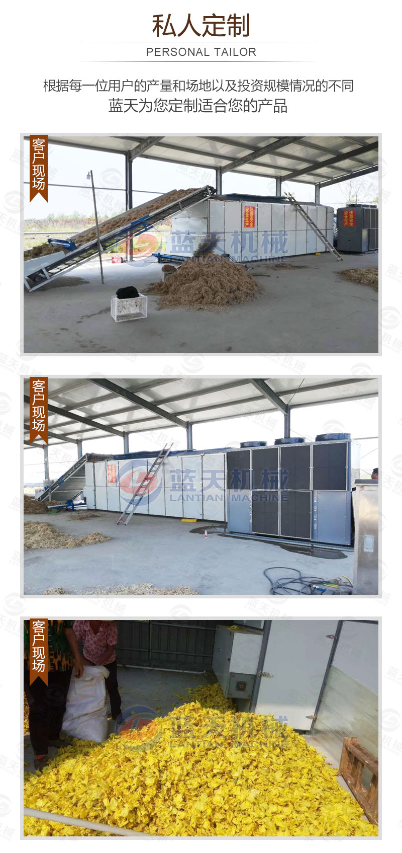 食用菌網(wǎng)帶烘干機私人定制