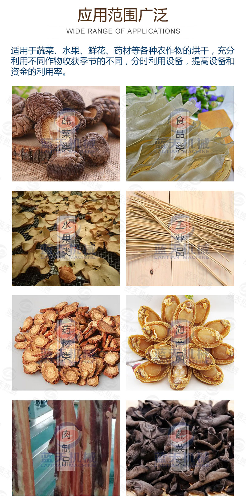 食用菌網(wǎng)帶烘干機應用范圍