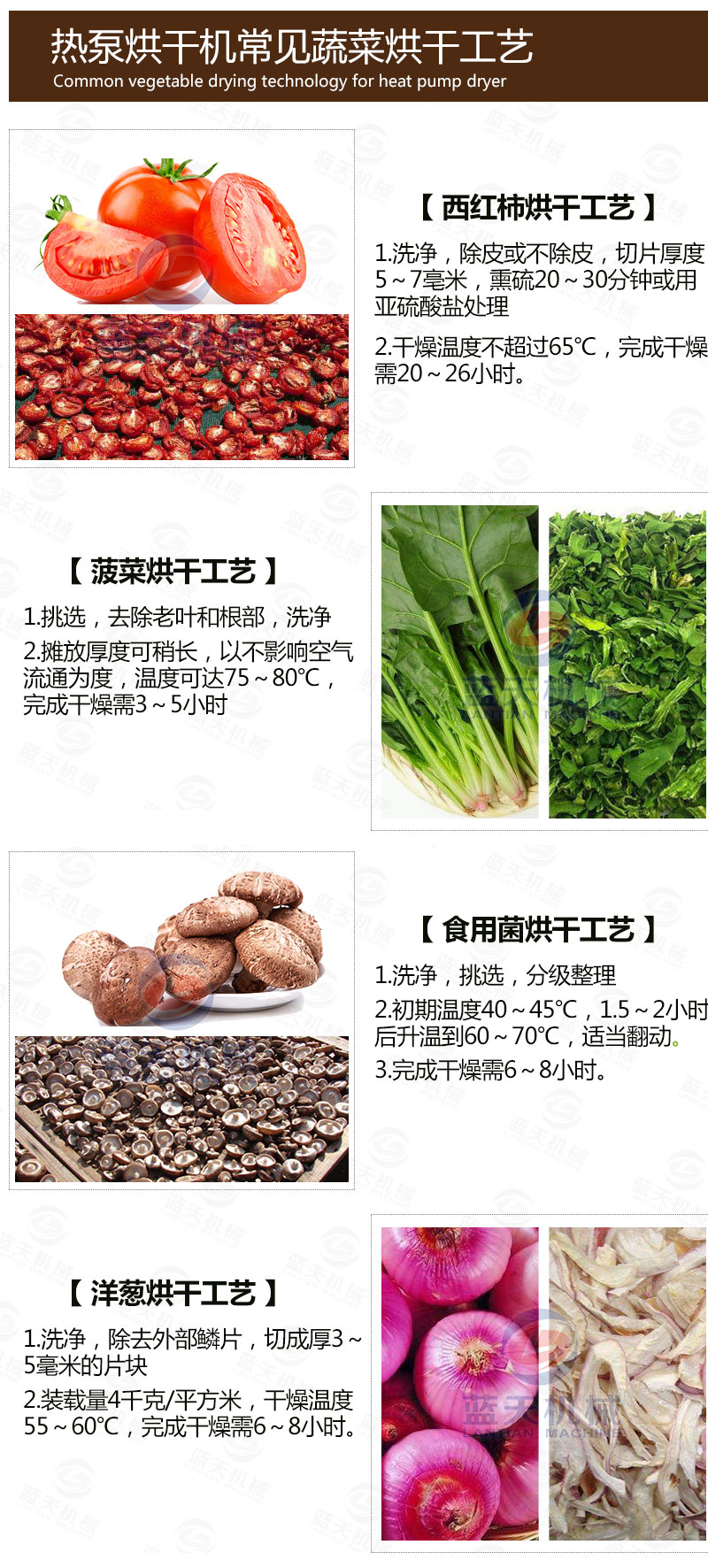 食用菌網(wǎng)帶烘干機常見蔬菜烘干工藝