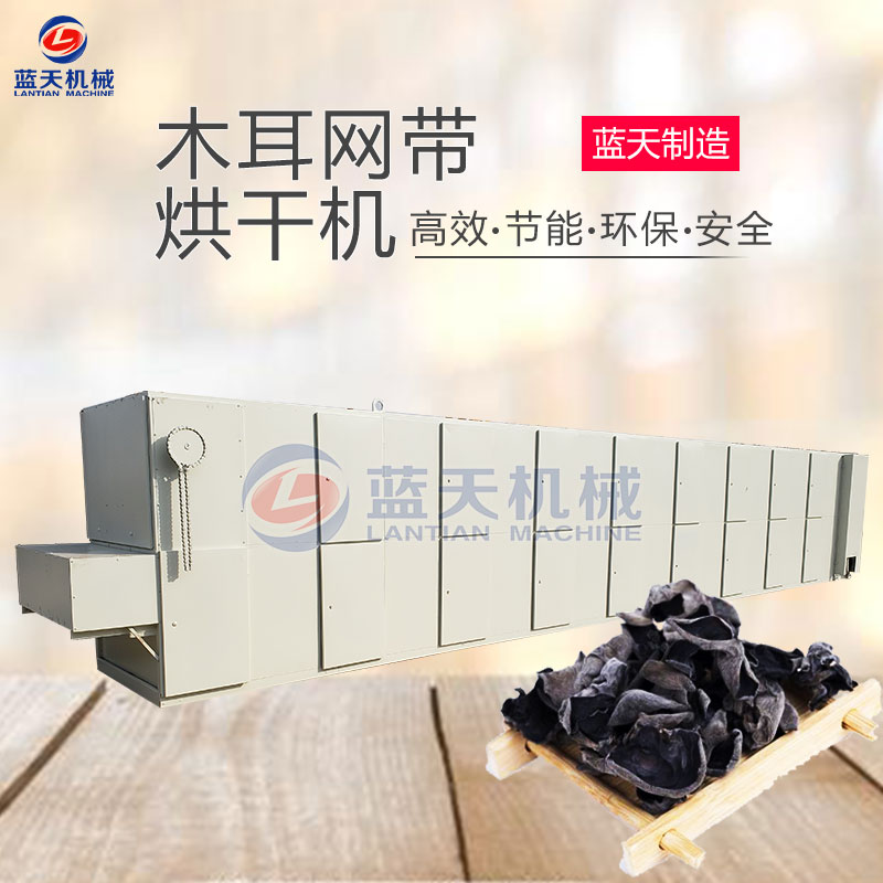 木耳網(wǎng)帶烘干機 