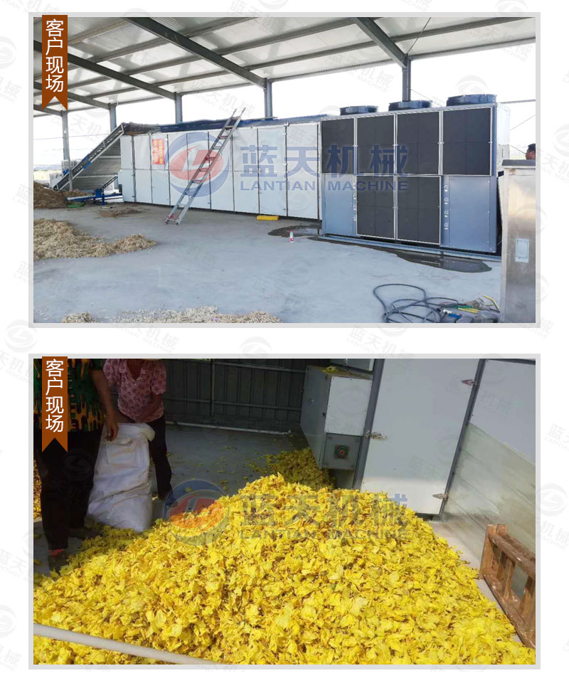 木耳網(wǎng)帶烘干機私人定制