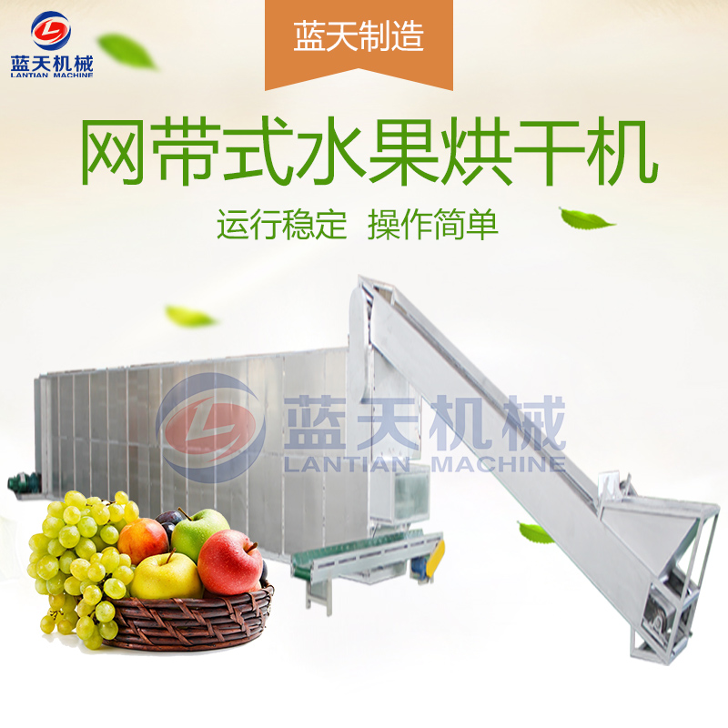水果片網(wǎng)帶烘干機(jī)
