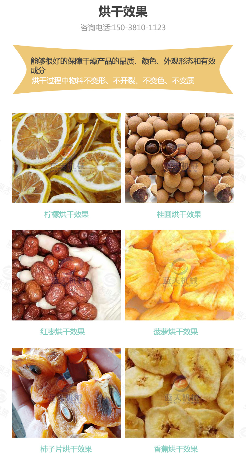 水果片網(wǎng)帶烘干機(jī)烘干效果