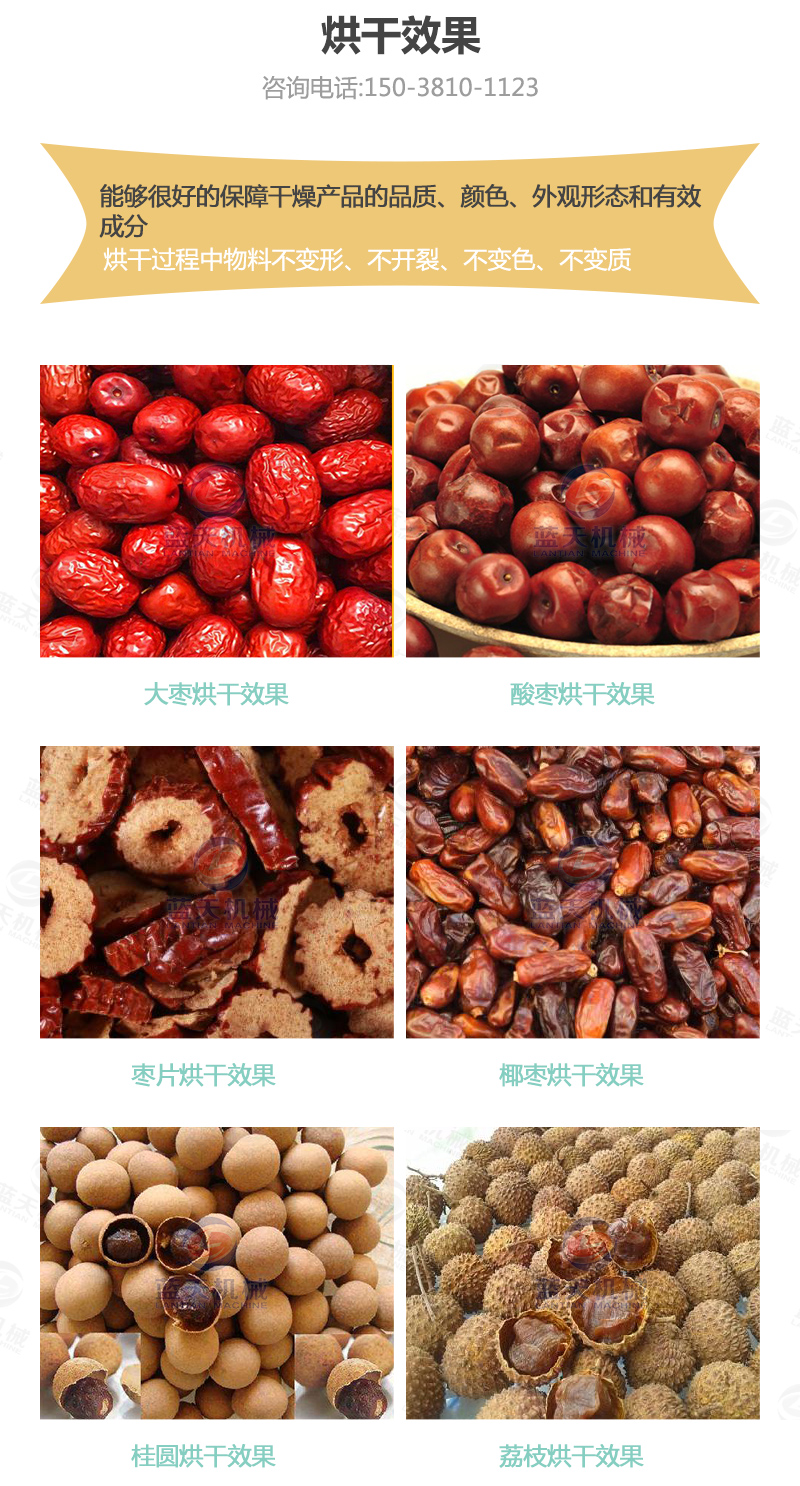大棗網(wǎng)帶烘干機(jī)烘干效果