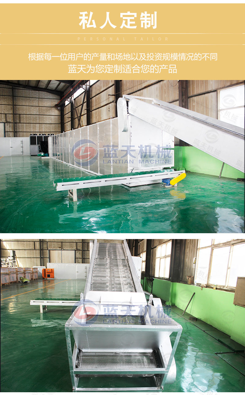 大棗網(wǎng)帶烘干機(jī)私人定制