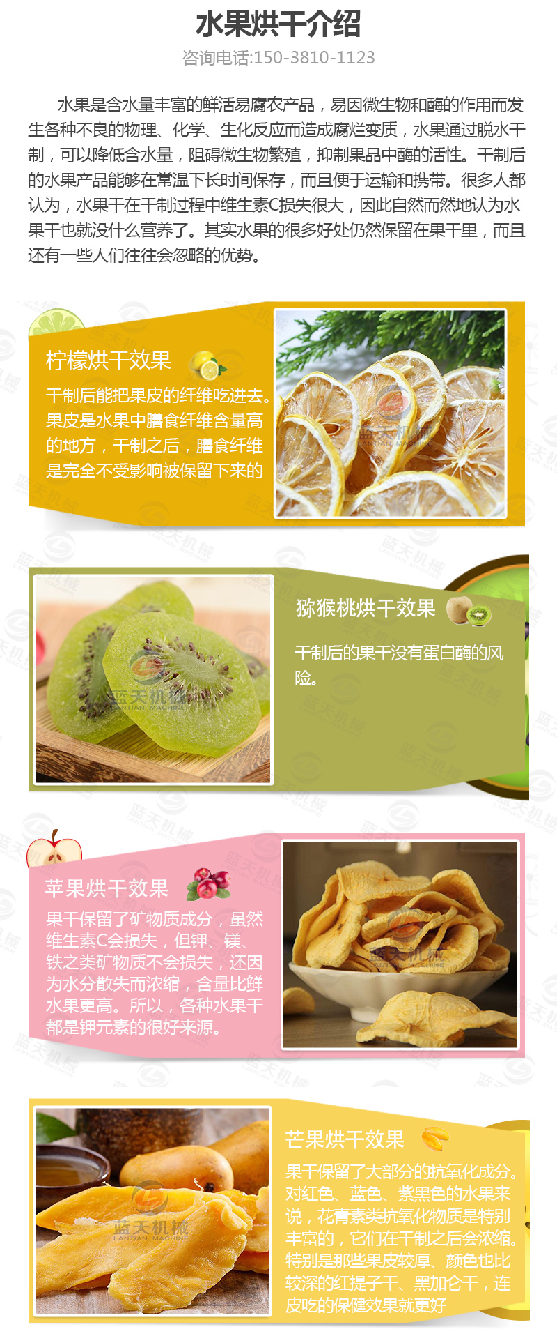 水果片網(wǎng)帶烘干機(jī)介紹