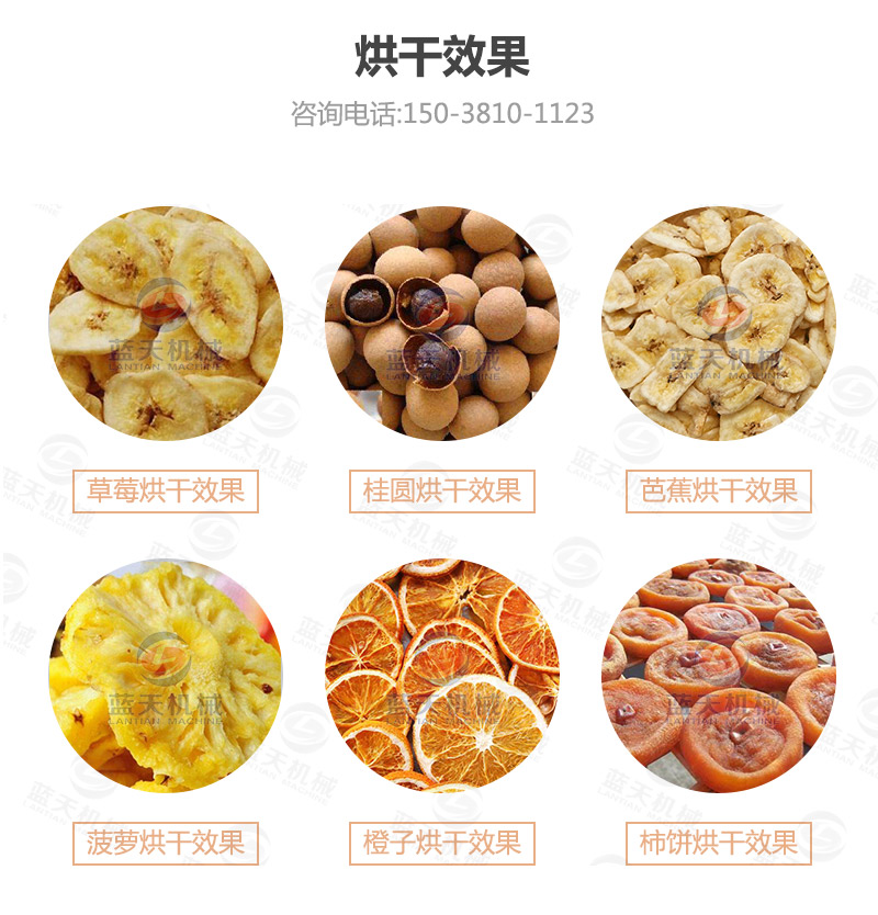 香蕉片網(wǎng)帶烘干機烘干效果