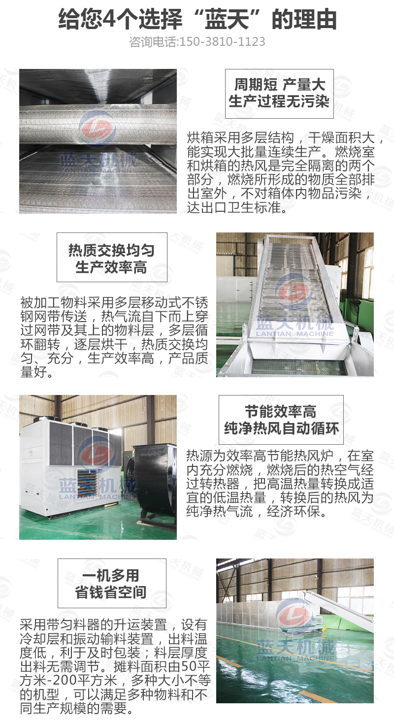 水果片網(wǎng)帶烘干機(jī)選擇藍(lán)天