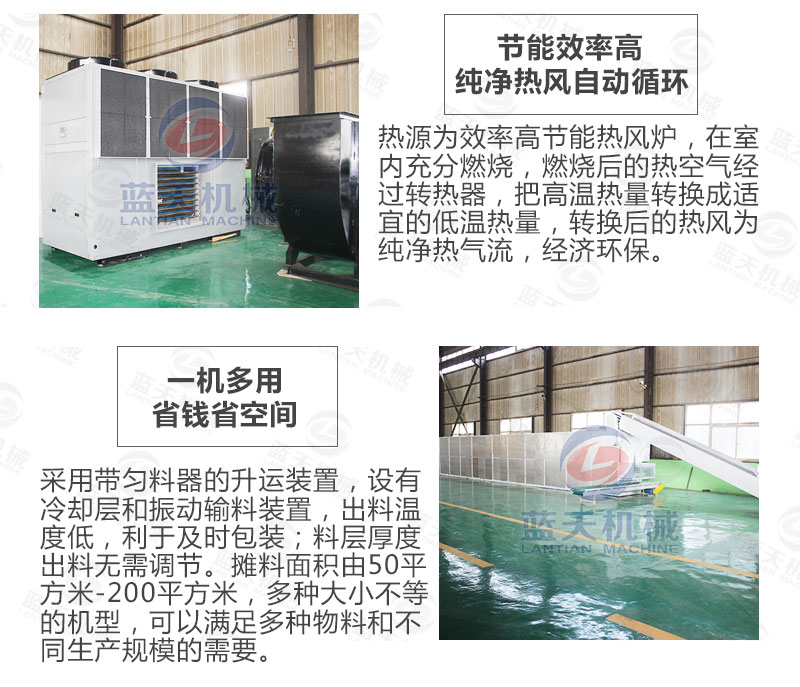 檸檬片網(wǎng)帶烘干機選擇藍天
