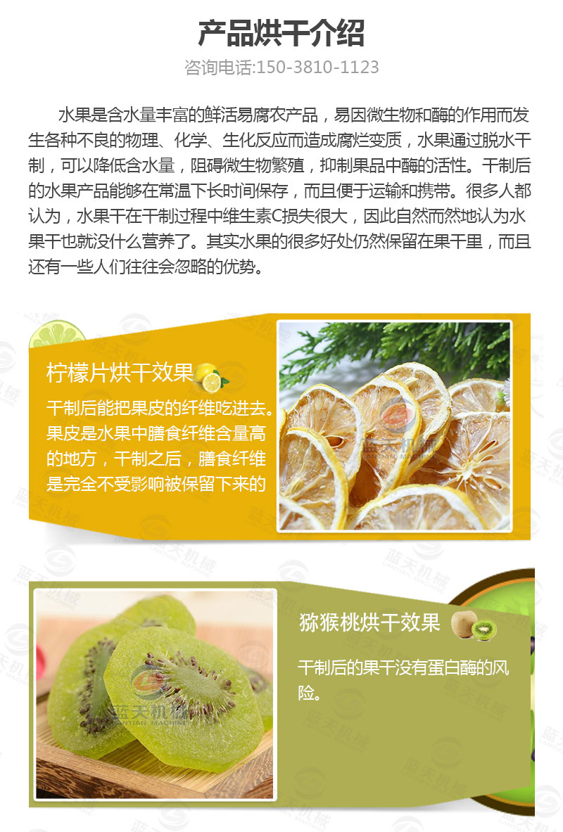 檸檬片網(wǎng)帶烘干機產(chǎn)品烘干