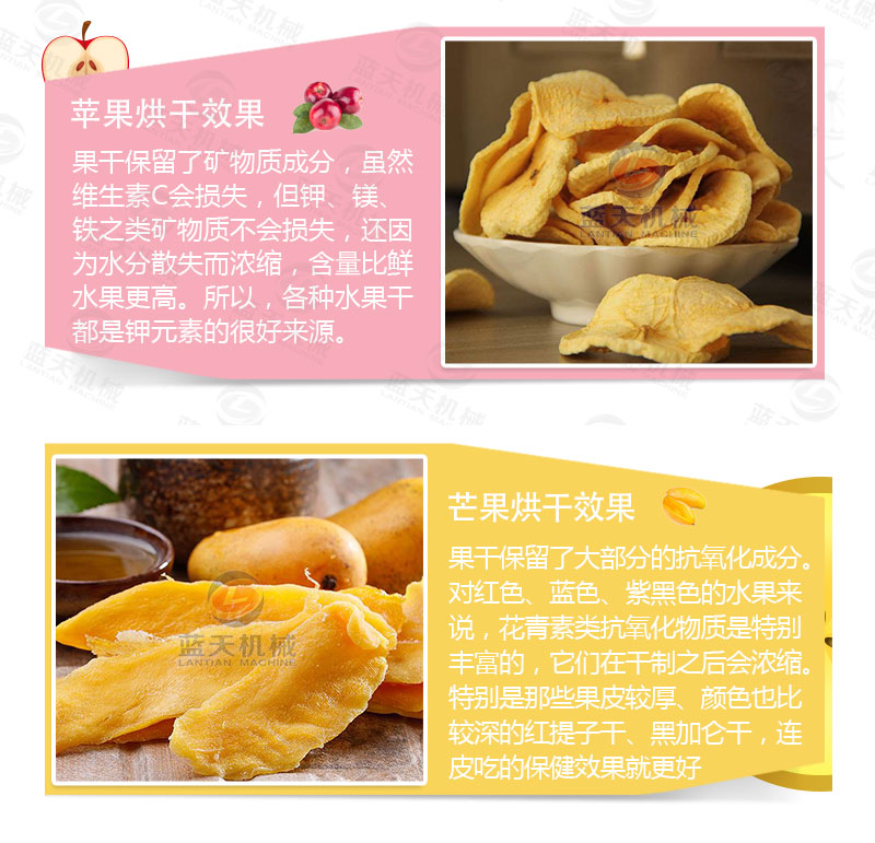 檸檬片網(wǎng)帶烘干機烘干產(chǎn)品