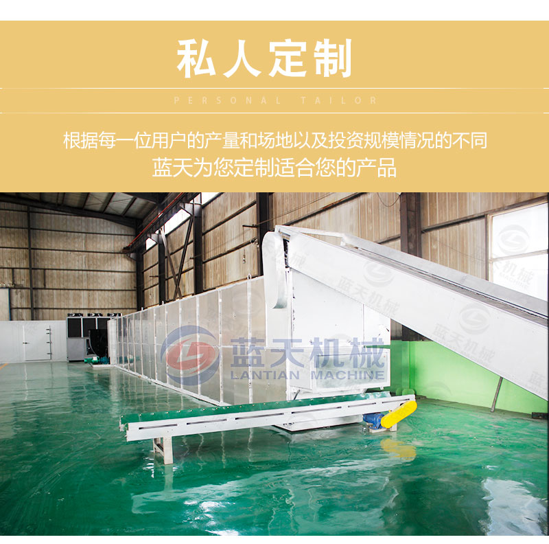 檸檬片網(wǎng)帶烘干機私人定制