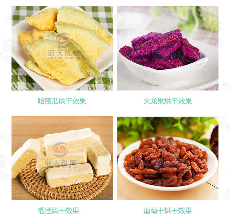 檸檬片網(wǎng)帶烘干機烘干效果