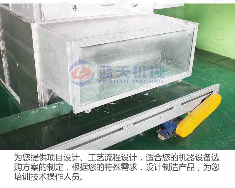 檸檬片網(wǎng)帶烘干機私人定制