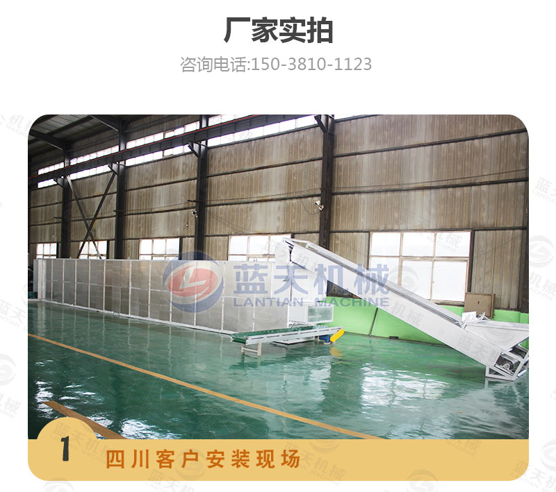 檸檬片網(wǎng)帶烘干機廠家實拍